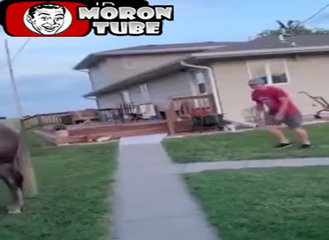 Video :A horse will not be ridden by anybody!